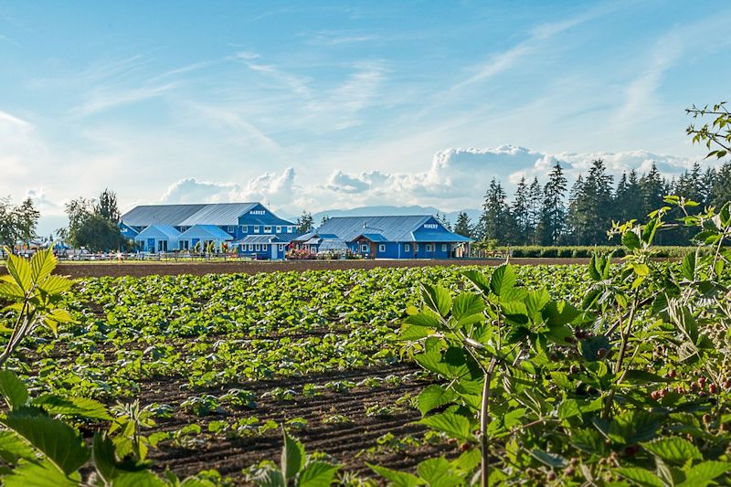 Krause Berry Farm and Winery - Langleytownship 